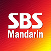 What could SBS Mandarin 官方中字 buy with $3.85 million?