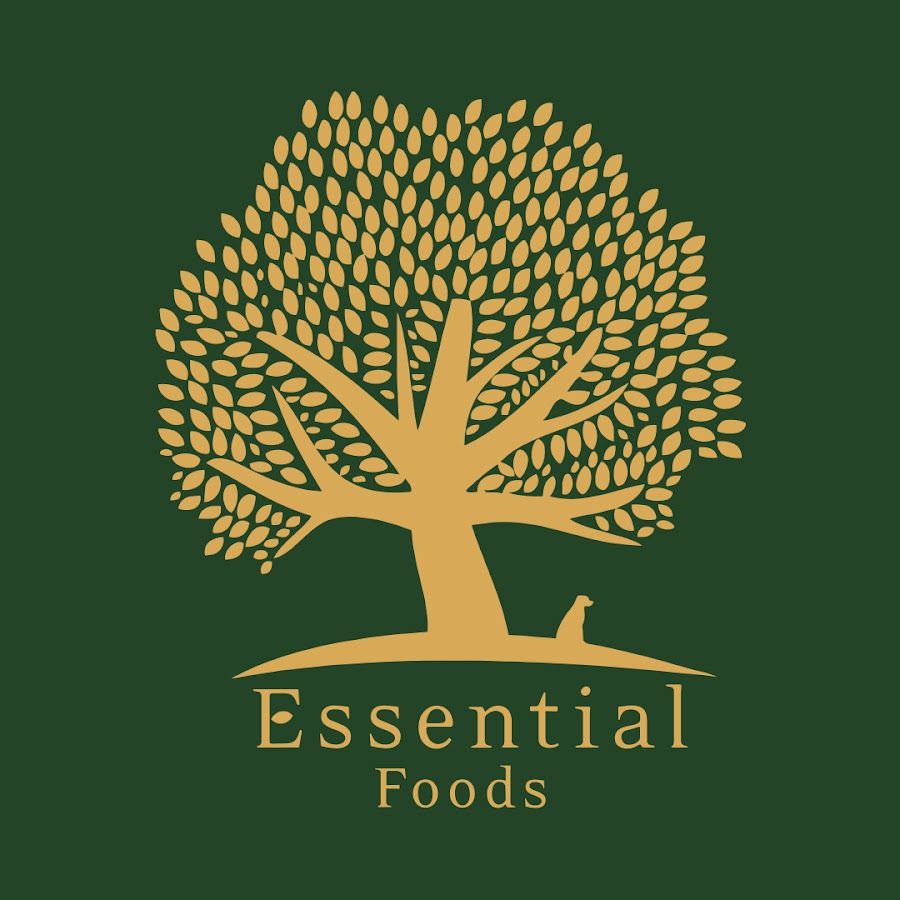 ESSENTIAL FOODS YouTube