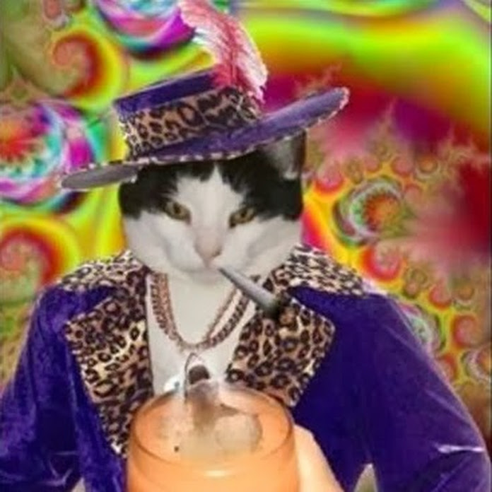 BeastQT Net Worth & Earnings (2026)