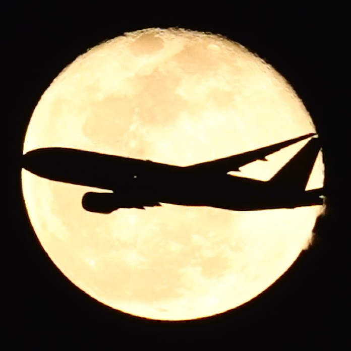 827SMILE Net Worth & Earnings (2026)