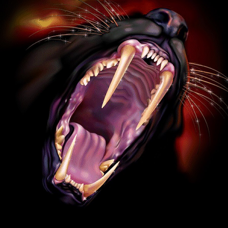 �������� ����, �������� � �������� �� ������� 240�320