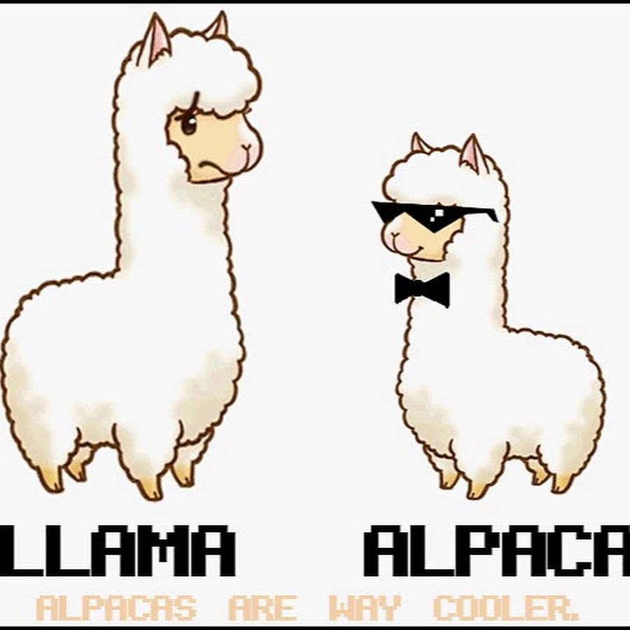 Имя альпака какое выбрали