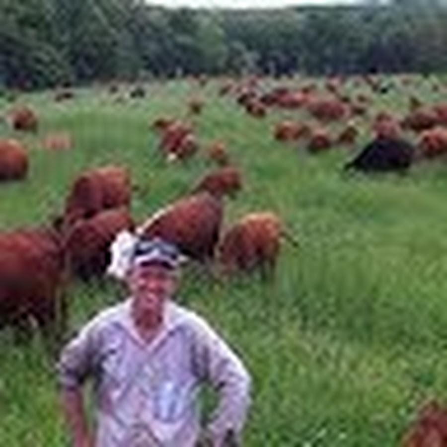 Greg Judy Regenerative Rancher YouTube