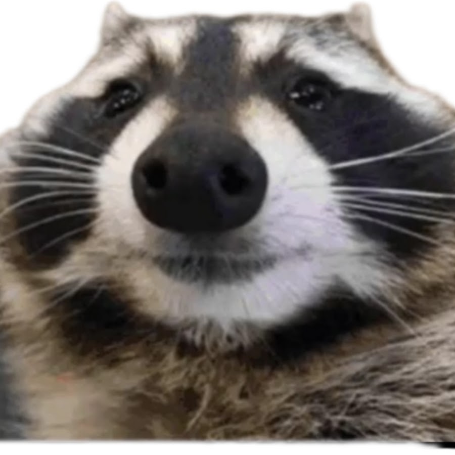 Gaming Life - YouTube