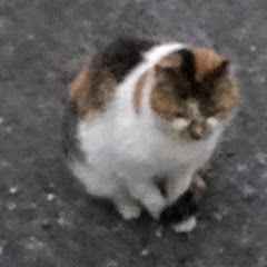 岩naka
