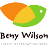 Beny Wilson