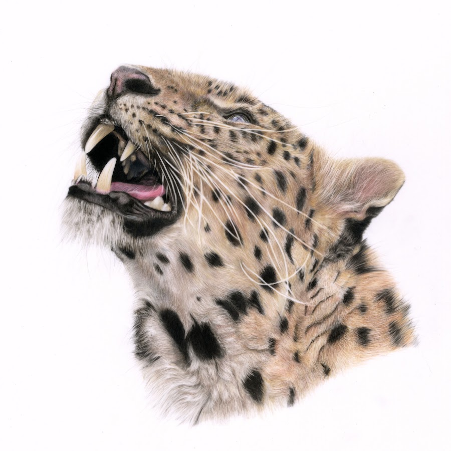 Bonny Snowdon Fine Art YouTube