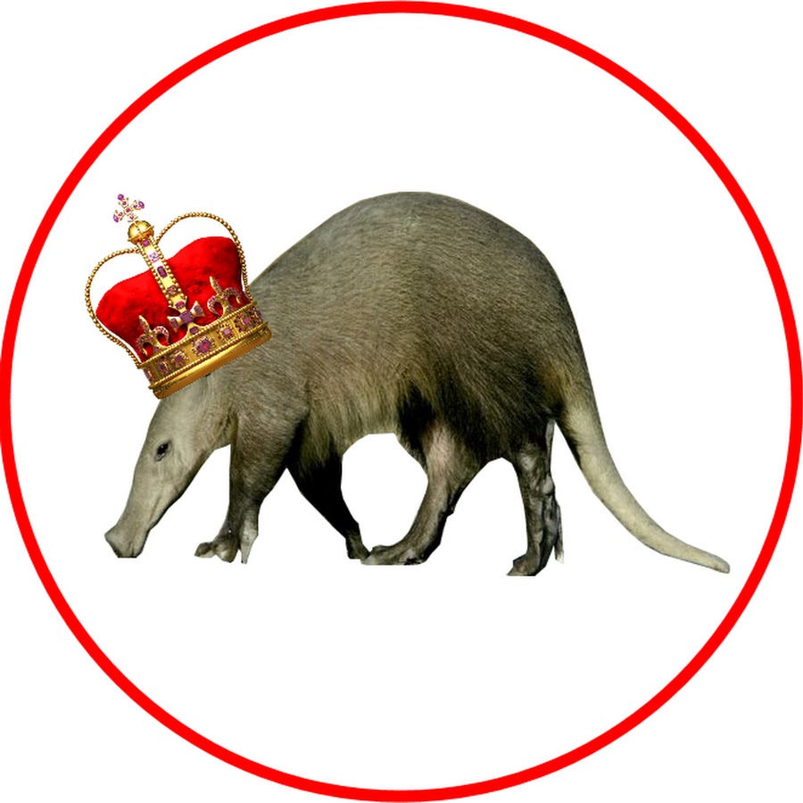 Lord Aardvark - YouTube