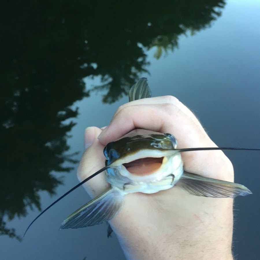 Ricardo Milos - YouTube