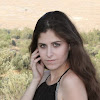 avital cohen