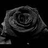 PurebloodProductions