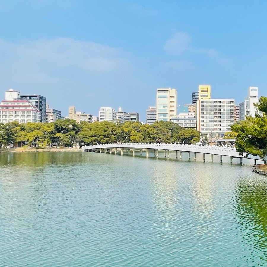 Huang sheng аккумулятор