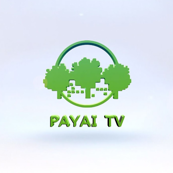 PAYAI TV Net Worth & Earnings (2023)