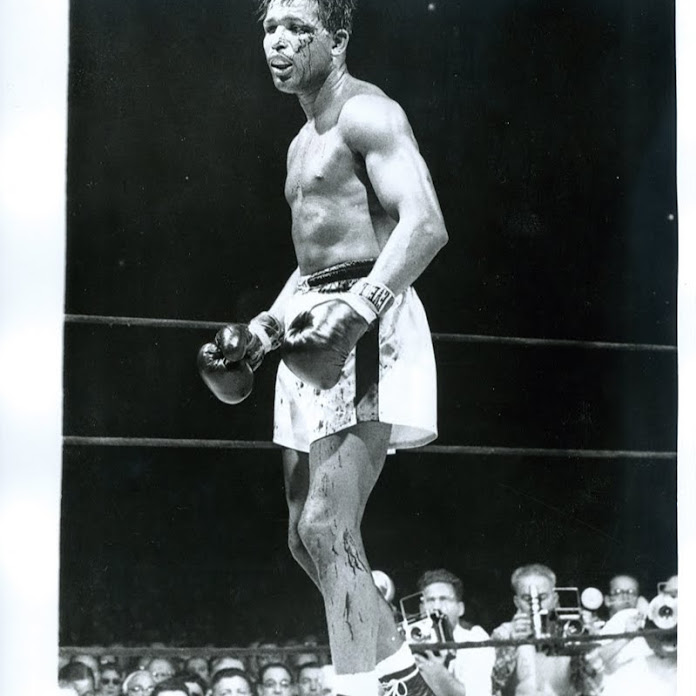 sweetfights Net Worth & Earnings (2026)