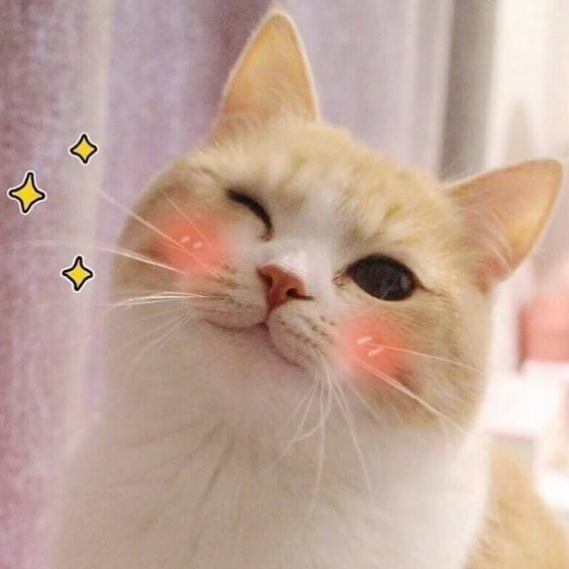 Yt3ggphtcomaagf L79snwsqm8bb457hm98hwe3d Rgybl - 