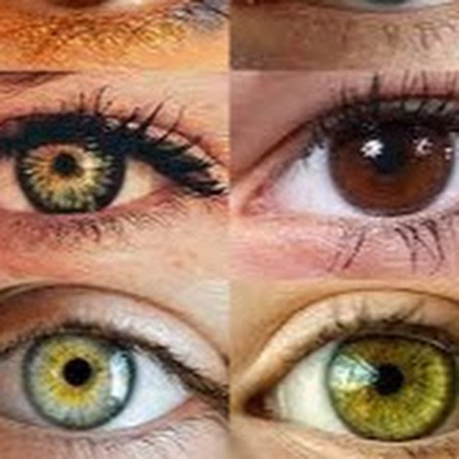 Какие глаза чаще всего встречаются. Цвет глаз. Какие глаза чаще всего встречаются. Натуральные цвета глаз. Оттенки глаз.