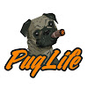 What could PugLife Entertainment buy with $315.3 thousand?