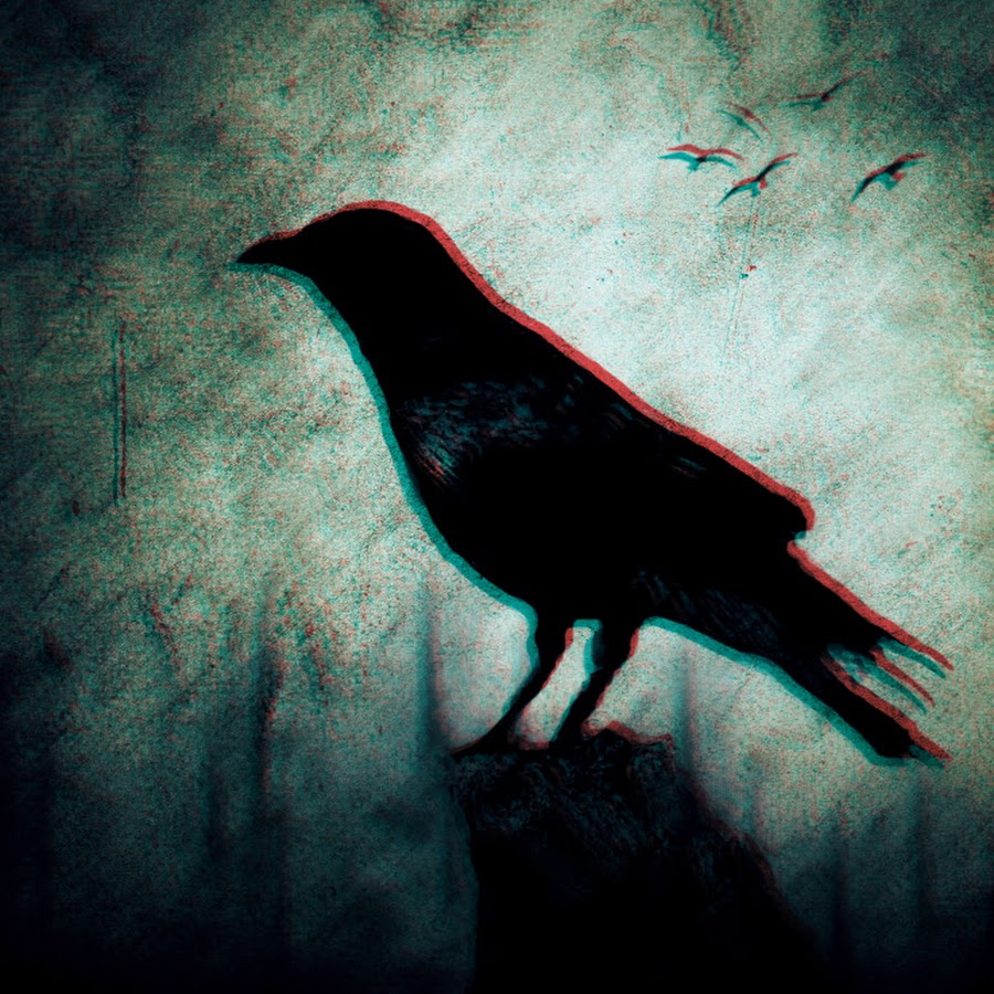 вороны в темноте. ворон эстетика. ворона. воронья стая. ворон арт.