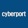 What could Cyberport buy with $100 thousand?