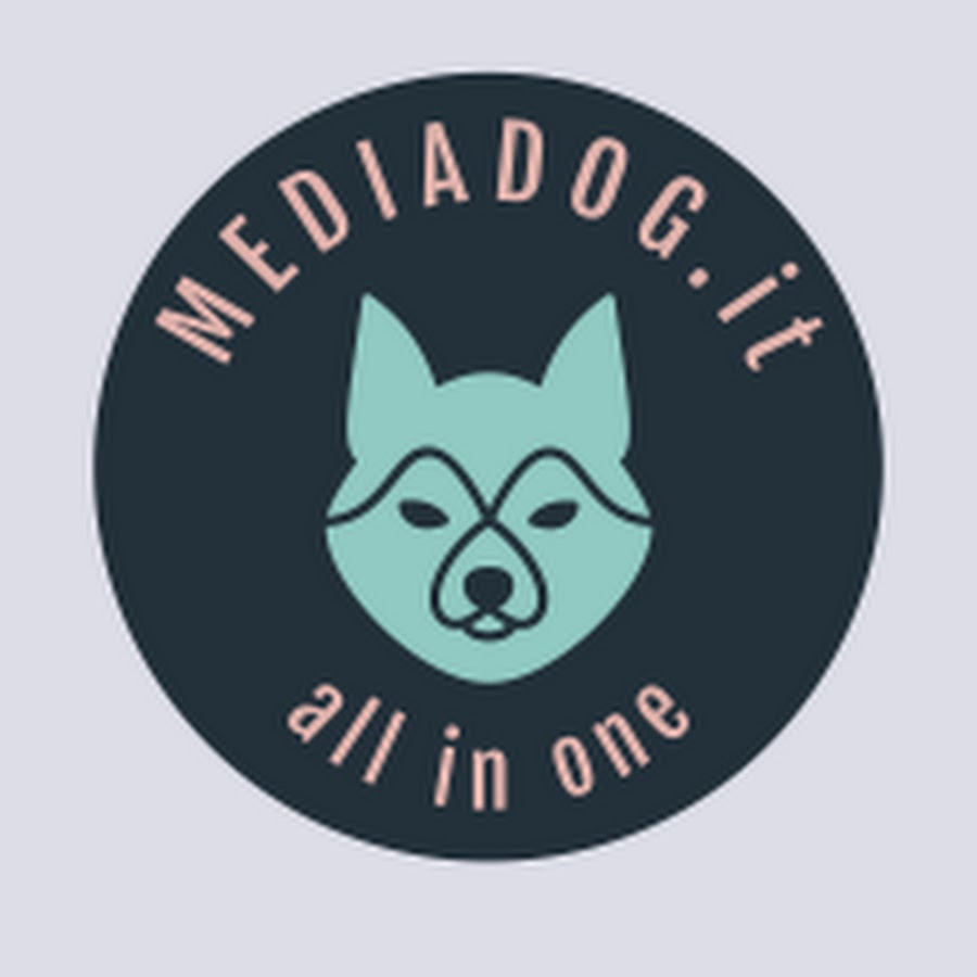 SFC Pet's channel - YouTube