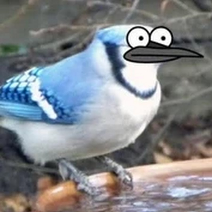 Fe No Tool Kill Roblox Fe Kill Script Word Bypass Roblox Exploiting Free Roblox Accounts Boy 2019 November - codes 225k cash boku no roblox remastered roblox youtube