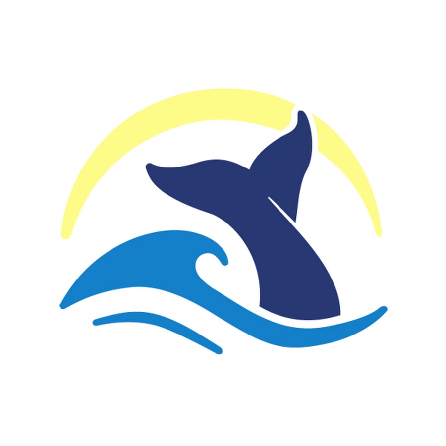 Bay Of Fundy YouTube