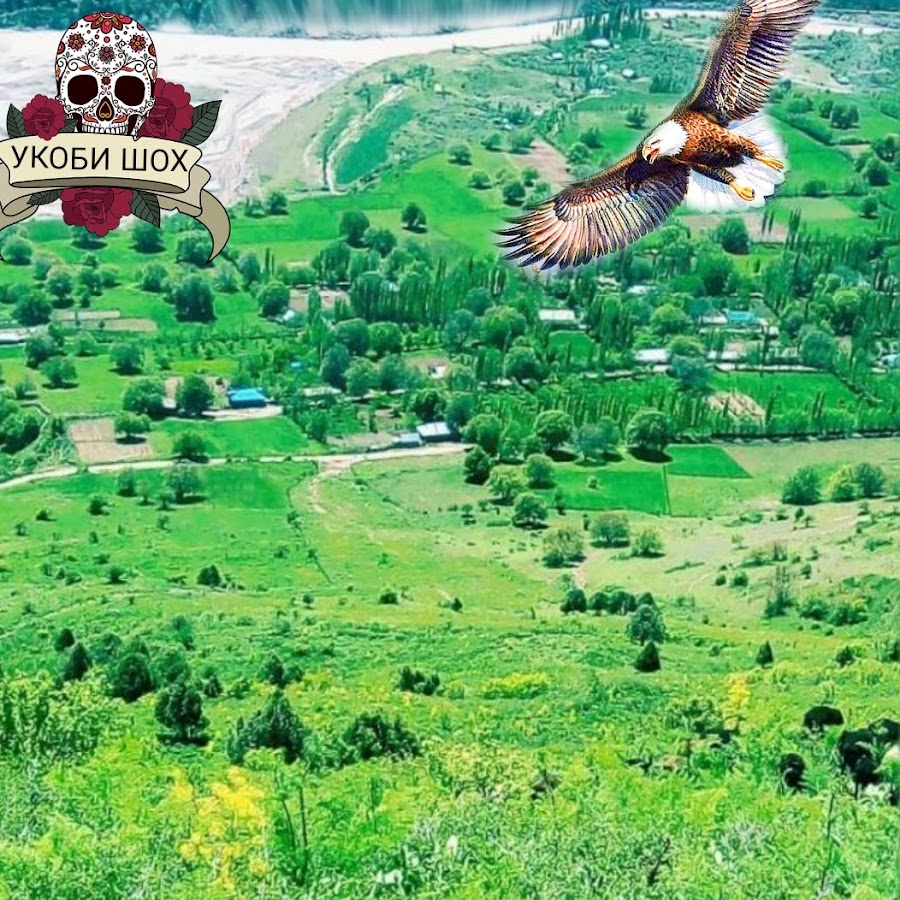 �������� ��� �����, ����������