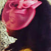 herFLYness79