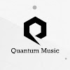 What could Quantum Music buy with $100 thousand?