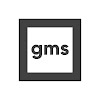 What could GMSVidea buy with $100 thousand?