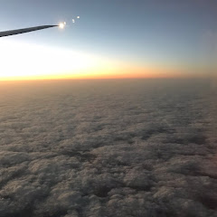 サンダーウルフ