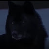ShadowSlayerX87