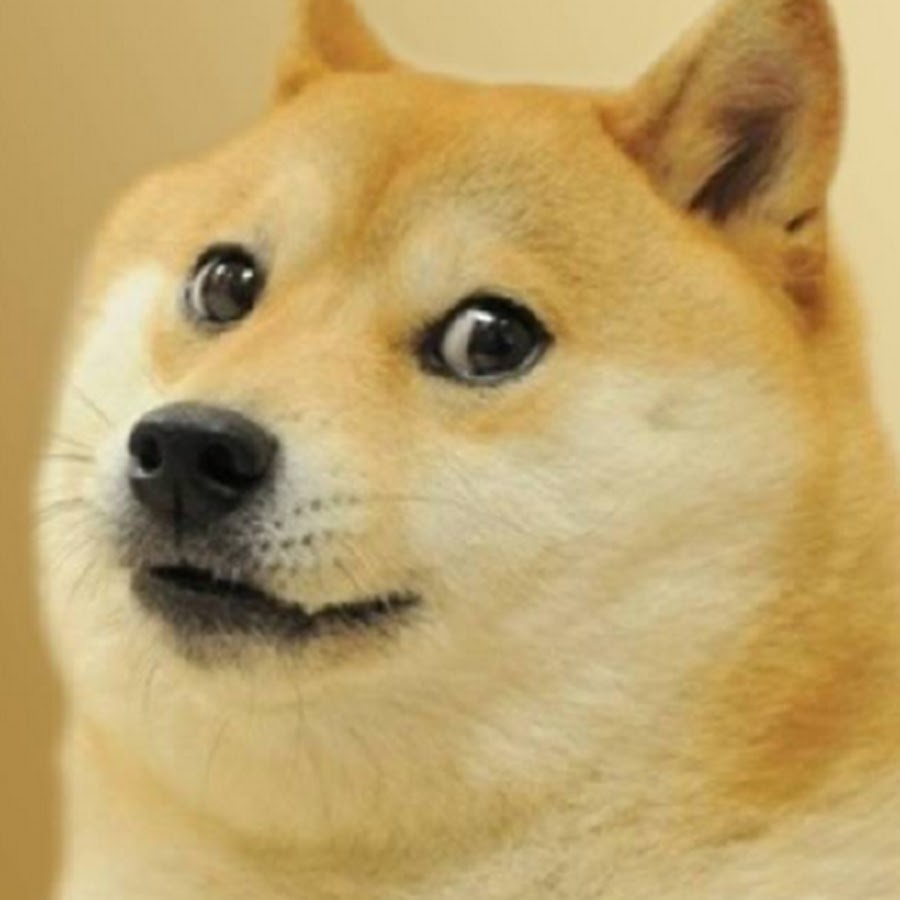 도정진djjproject - YouTube