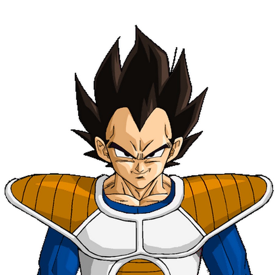 show me a picture of vegeta