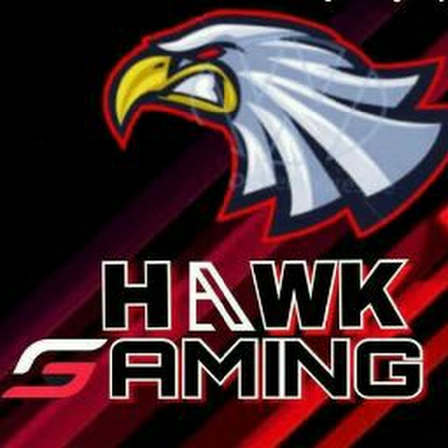 MR HAWK GAMING - YouTube