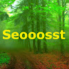 Seooosst