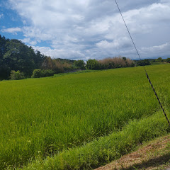 free channeru TohruChan