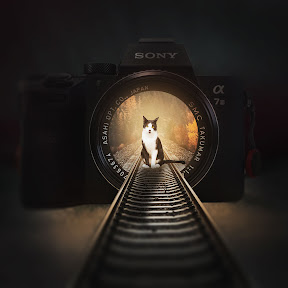 �ȥɤ����������ã YouTube