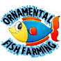 ORNAMENTAL FISH FARMING (ornamental-fish-farming)