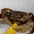 Pet Crab