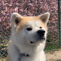もかか_