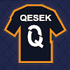 What could Qesek buy with $162.2 thousand?