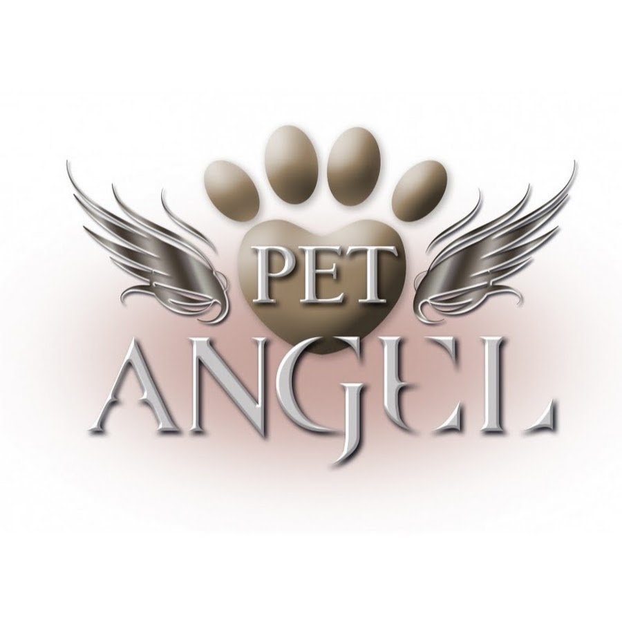 Pet angel. Ангелс груминг ручной ангел. Tangle Angel Pet. Ангелс груминг песня. Petangel cheerypink.
