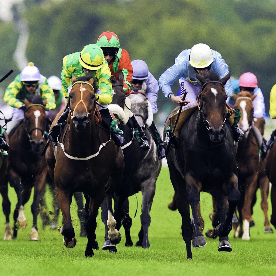 Betting slips for horse racing moneyweek forex peace