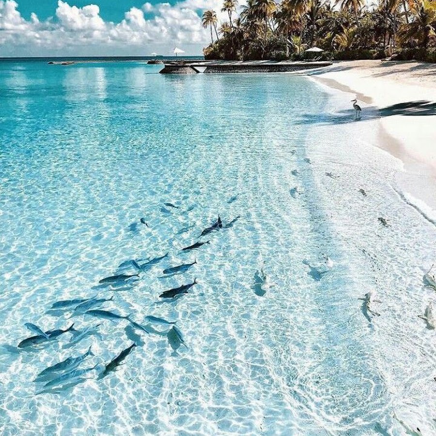 Пляж вода
