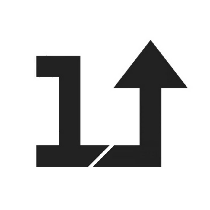 Bir Level Atladı Net Worth & Earnings (2026)