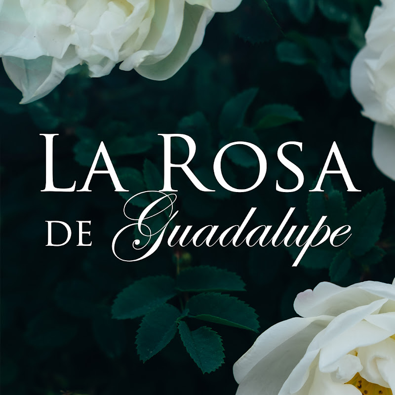 La Rosa De Guadalupe Marlon Pierde Un Ojo