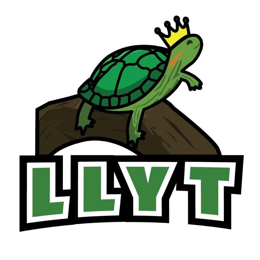 Long Live Your Turtle - YouTube