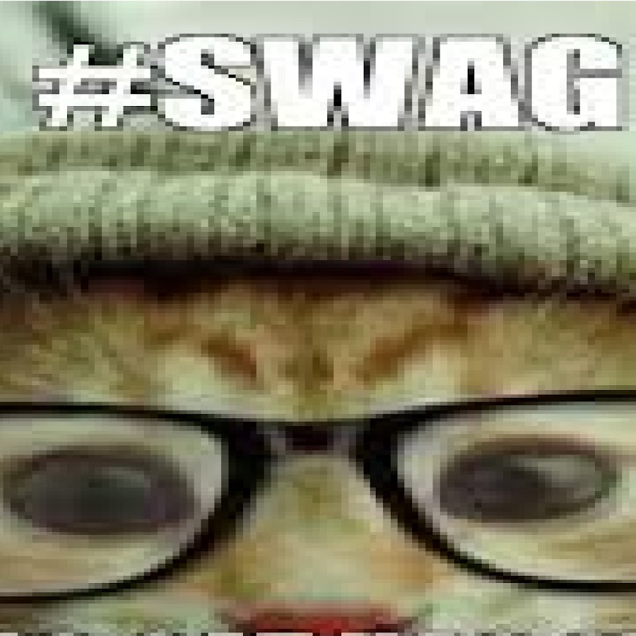 Swag Cat YouTube