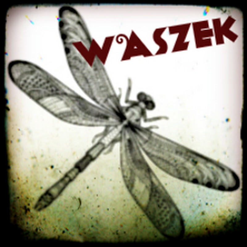 Waszek